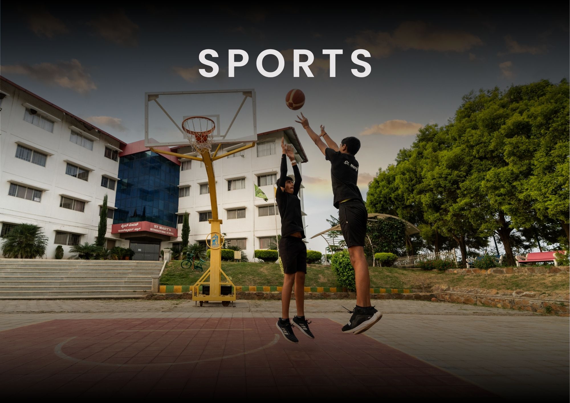 sports